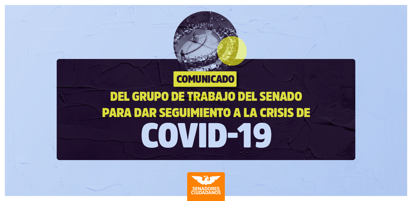 Grupo de trabajo del senado seguimiento a crisis covid19 