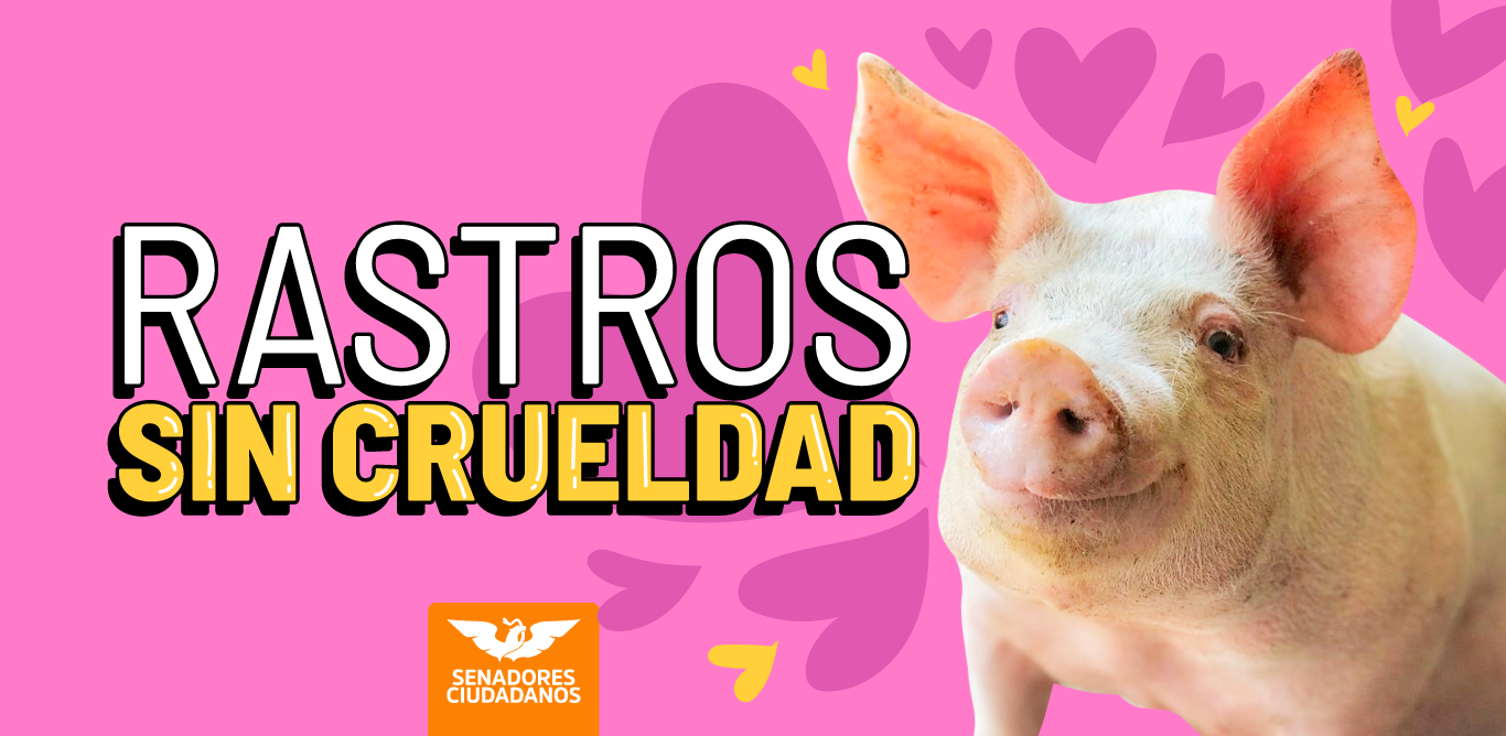 Rastros Sin Crueldad