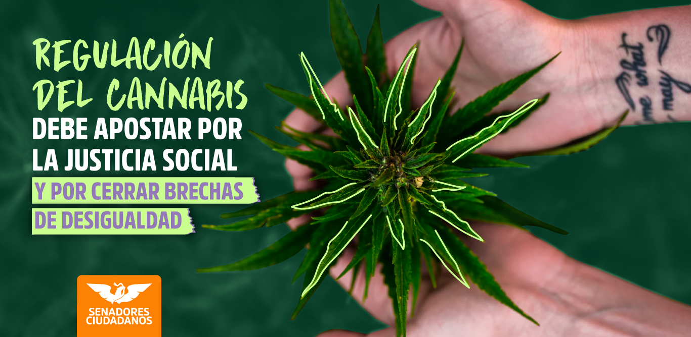 regulacion del cannabis