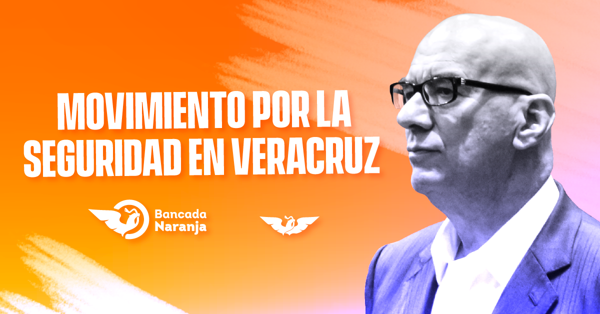 Comisión Especial de Veracruz