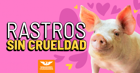 Rastros Sin Crueldad