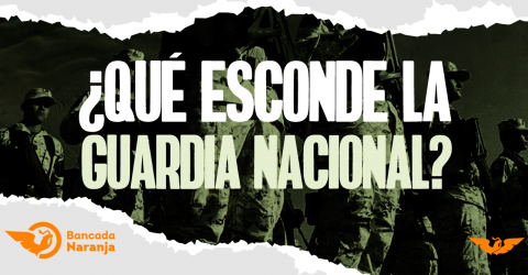 Informe de la Guardia Nacional 