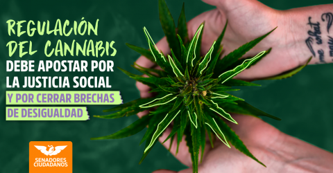 regulacion del cannabis