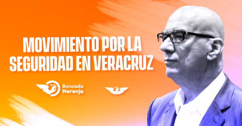 Comisión Especial de Veracruz